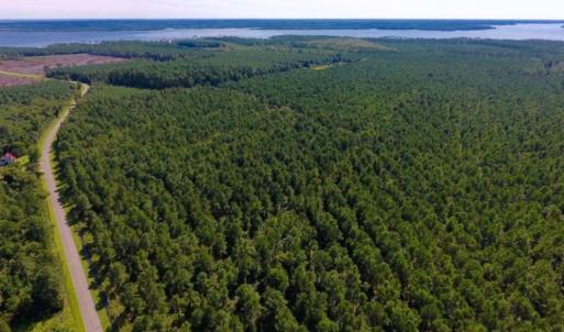 Photo of UNDER CONTRACT!  65 ac of Timber and Hunting Land For Sale in Pamlico County, NC!
