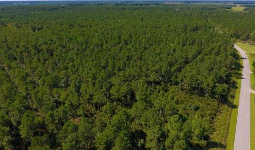 Photo of UNDER CONTRACT!  65 ac of Timber and Hunting Land For Sale in Pamlico County, NC!