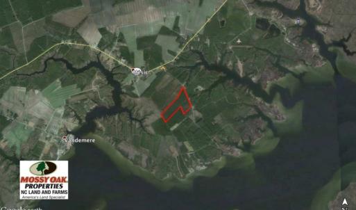 Photo of UNDER CONTRACT!  65 ac of Timber and Hunting Land For Sale in Pamlico County, NC!