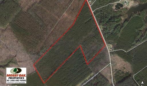 Photo of UNDER CONTRACT!  65 ac of Timber and Hunting Land For Sale in Pamlico County, NC!