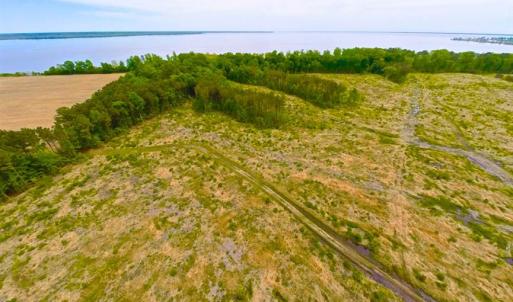 Photo of SOLD!!  300 ac Riverfront Development Land for Sale in Bertie County, NC!
