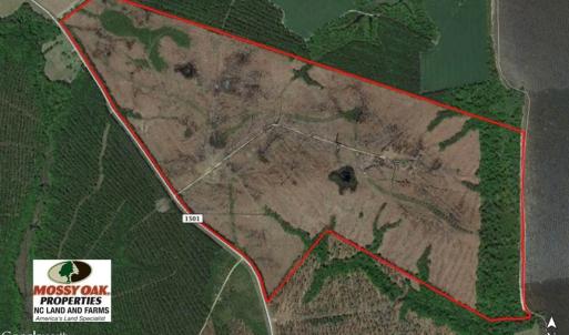 Photo of SOLD!!  300 ac Riverfront Development Land for Sale in Bertie County, NC!