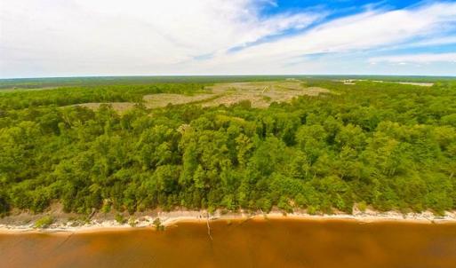 Photo of SOLD!!  300 ac Riverfront Development Land for Sale in Bertie County, NC!