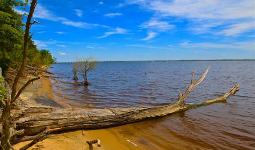 Photo of SOLD!!  300 ac Riverfront Development Land for Sale in Bertie County, NC!