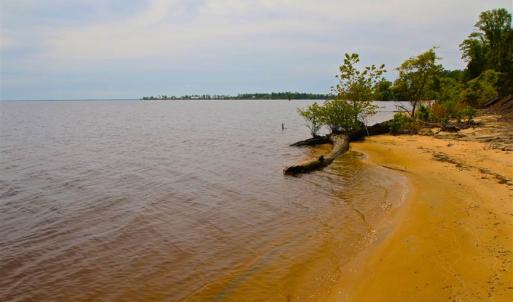 Photo of SOLD!!  300 ac Riverfront Development Land for Sale in Bertie County, NC!