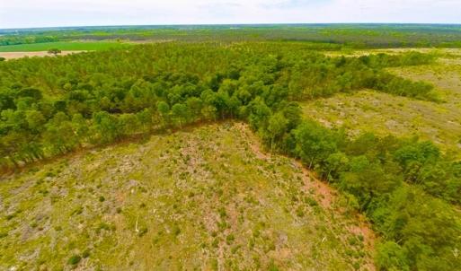 Photo of SOLD!!  300 ac Riverfront Development Land for Sale in Bertie County, NC!
