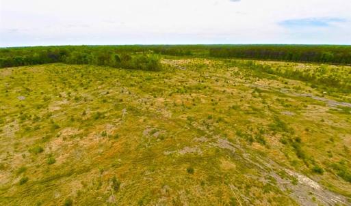 Photo of SOLD!!  300 ac Riverfront Development Land for Sale in Bertie County, NC!