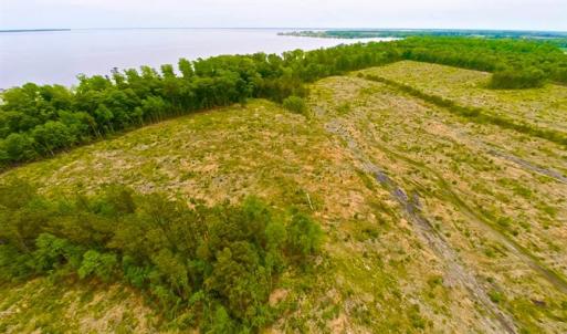 Photo of SOLD!!  300 ac Riverfront Development Land for Sale in Bertie County, NC!