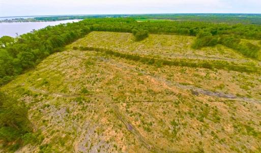 Photo of SOLD!!  300 ac Riverfront Development Land for Sale in Bertie County, NC!