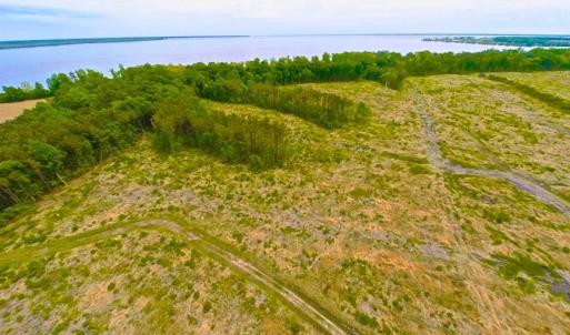 Photo of SOLD!!  300 ac Riverfront Development Land for Sale in Bertie County, NC!