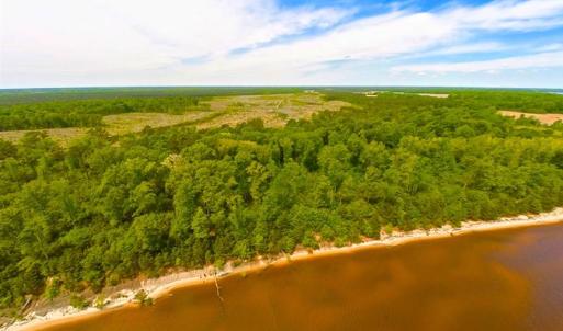 Photo of SOLD!!  300 ac Riverfront Development Land for Sale in Bertie County, NC!
