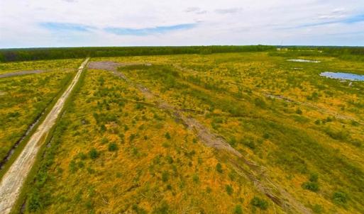 Photo of SOLD!!  300 ac Riverfront Development Land for Sale in Bertie County, NC!