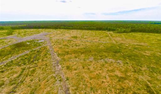 Photo of SOLD!!  300 ac Riverfront Development Land for Sale in Bertie County, NC!