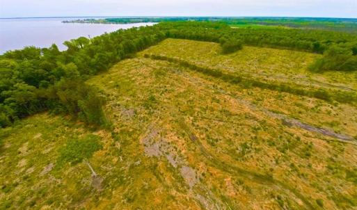 Photo of SOLD!!  300 ac Riverfront Development Land for Sale in Bertie County, NC!