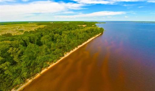 Photo of SOLD!!  300 ac Riverfront Development Land for Sale in Bertie County, NC!