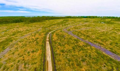 Photo of SOLD!!  300 ac Riverfront Development Land for Sale in Bertie County, NC!