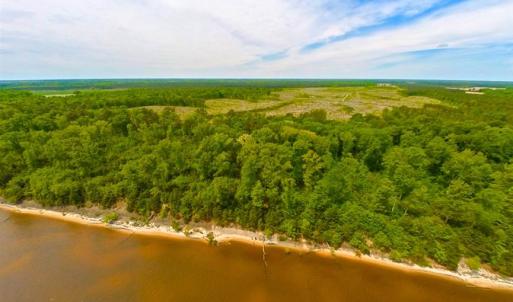 Photo of SOLD!!  300 ac Riverfront Development Land for Sale in Bertie County, NC!