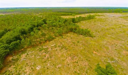 Photo of SOLD!!  300 ac Riverfront Development Land for Sale in Bertie County, NC!