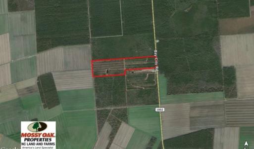 Photo of UNDER CONTRACT!  136 ac Hunting Land for Sale in Pamlico County NC!
