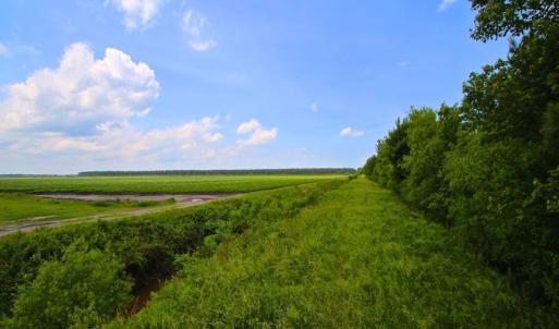Photo of UNDER CONTRACT!  136 ac Hunting Land for Sale in Pamlico County NC!