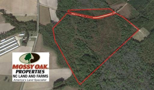 Photo of UNDER CONTRACT! 71 ac Hunting Land For Sale in Bladen County NC!