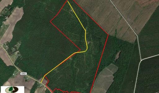 Photo of UNDER CONTRACT!  217 ac Timber and Hunting Land for Sale in Jones County NC!