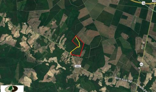 Photo of UNDER CONTRACT!  217 ac Timber and Hunting Land for Sale in Jones County NC!