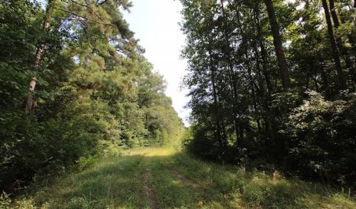 Photo of UNDER CONTRACT!  217 ac Timber and Hunting Land for Sale in Jones County NC!
