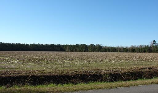 Photo of UNDER CONTRACT!  40 Acre Farm for Sale in Brunswick County NC!