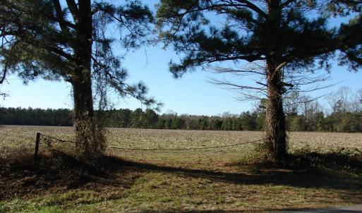 Photo of UNDER CONTRACT!  40 Acre Farm for Sale in Brunswick County NC!