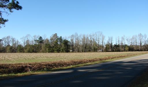 Photo of UNDER CONTRACT!  40 Acre Farm for Sale in Brunswick County NC!