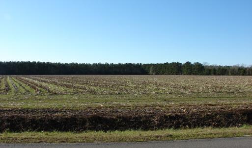 Photo of UNDER CONTRACT!  40 Acre Farm for Sale in Brunswick County NC!