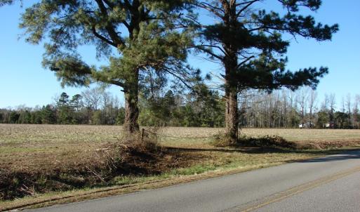 Photo of UNDER CONTRACT!  40 Acre Farm for Sale in Brunswick County NC!