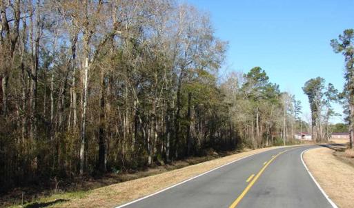 Photo of SOLD!  45 Acres of Hunting and Timber Land For Sale in Columbus County NC!