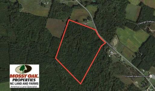 Photo of SOLD!  45 Acres of Hunting and Timber Land For Sale in Columbus County NC!