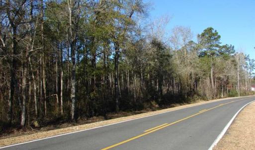 Photo of SOLD!  45 Acres of Hunting and Timber Land For Sale in Columbus County NC!