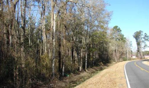 Photo of SOLD!  45 Acres of Hunting and Timber Land For Sale in Columbus County NC!