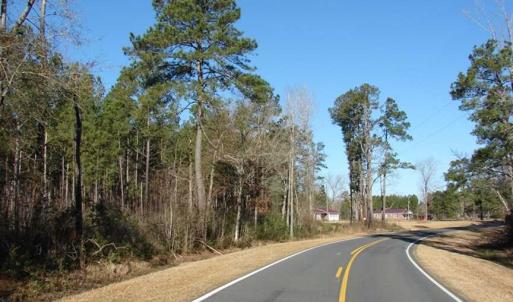 Photo of SOLD!  45 Acres of Hunting and Timber Land For Sale in Columbus County NC!