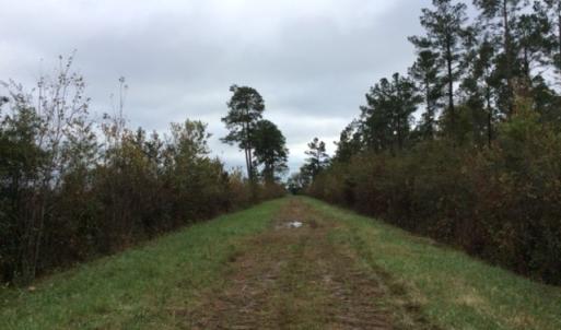 Photo of UNDER CONTRACT!  158 Acres of Land for Sale in Jones County NC!