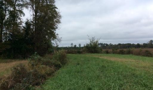Photo of UNDER CONTRACT!  158 Acres of Land for Sale in Jones County NC!