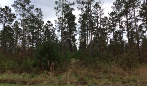 Photo of UNDER CONTRACT!  158 Acres of Land for Sale in Jones County NC!