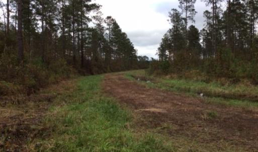 Photo of UNDER CONTRACT!  158 Acres of Land for Sale in Jones County NC!