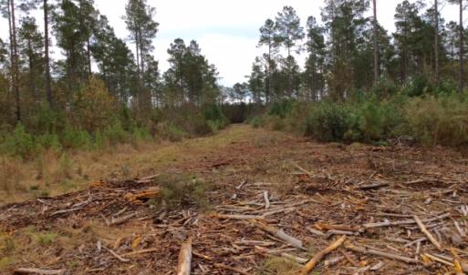 Photo of UNDER CONTRACT!  158 Acres of Land for Sale in Jones County NC!
