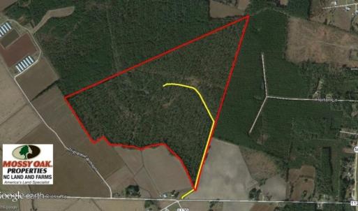 Photo of UNDER CONTRACT!  158 Acres of Land for Sale in Jones County NC!