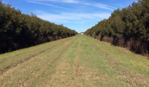 Photo of UNDER CONTRACT!  1.17 Acres of Land For Sale in Hyde County NC!