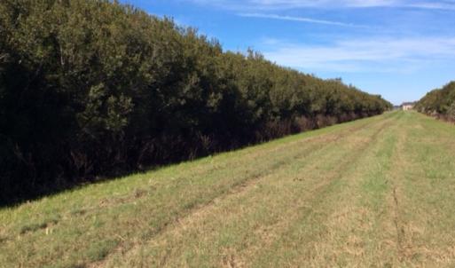 Photo of UNDER CONTRACT!  1.17 Acres of Land For Sale in Hyde County NC!