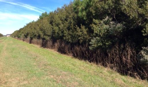Photo of UNDER CONTRACT!  1.17 Acres of Land For Sale in Hyde County NC!
