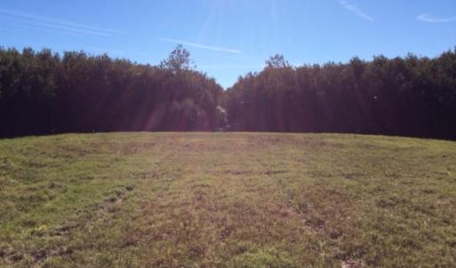 Photo of UNDER CONTRACT!  1.17 Acres of Land For Sale in Hyde County NC!