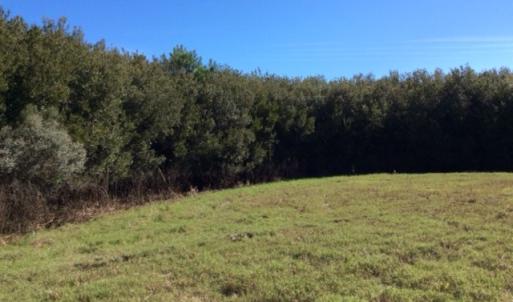 Photo of UNDER CONTRACT!  1.17 Acres of Land For Sale in Hyde County NC!