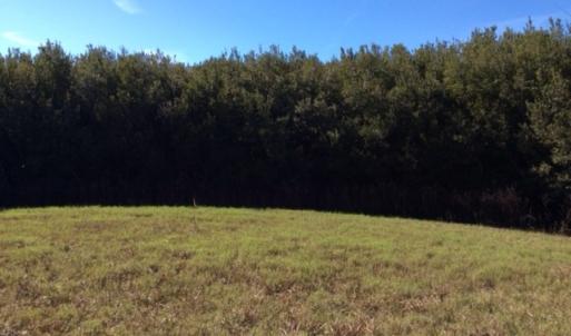 Photo of UNDER CONTRACT!  1.17 Acres of Land For Sale in Hyde County NC!